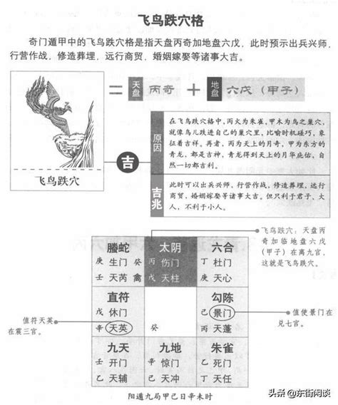 飛鳥跌穴|奇門遁甲～飛鳥跌穴和青龍返首